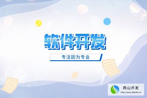 选择深圳软件开发公司应注意什么(图2)