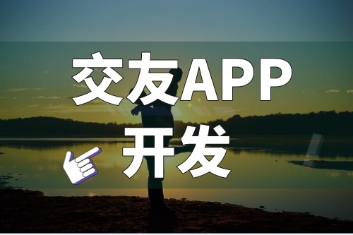 浅谈交友APP开发的功能优势(图1)