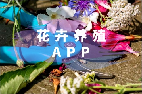 花卉养殖APP有什么功能(图1)