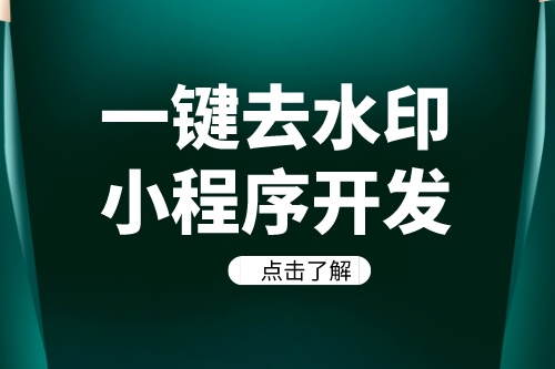 德州一键去水印小程序开发方案及功能介绍(图2)